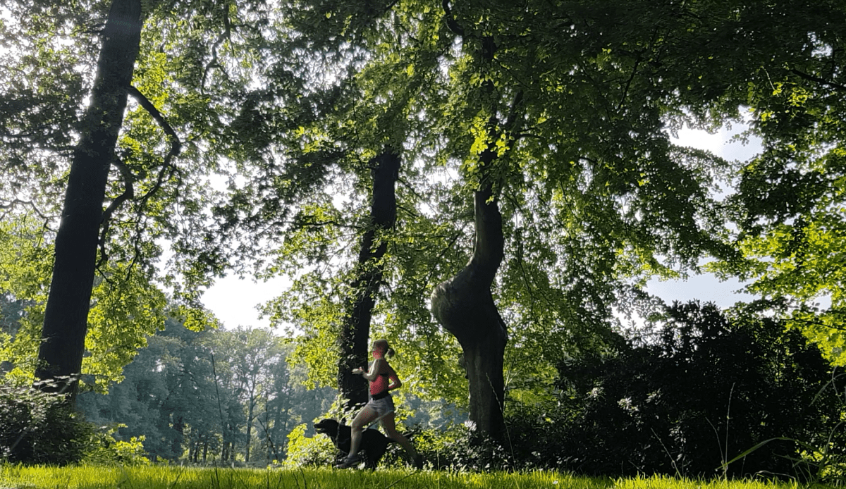 A fresh new start!  –  Recap of the Month&nbsp;July