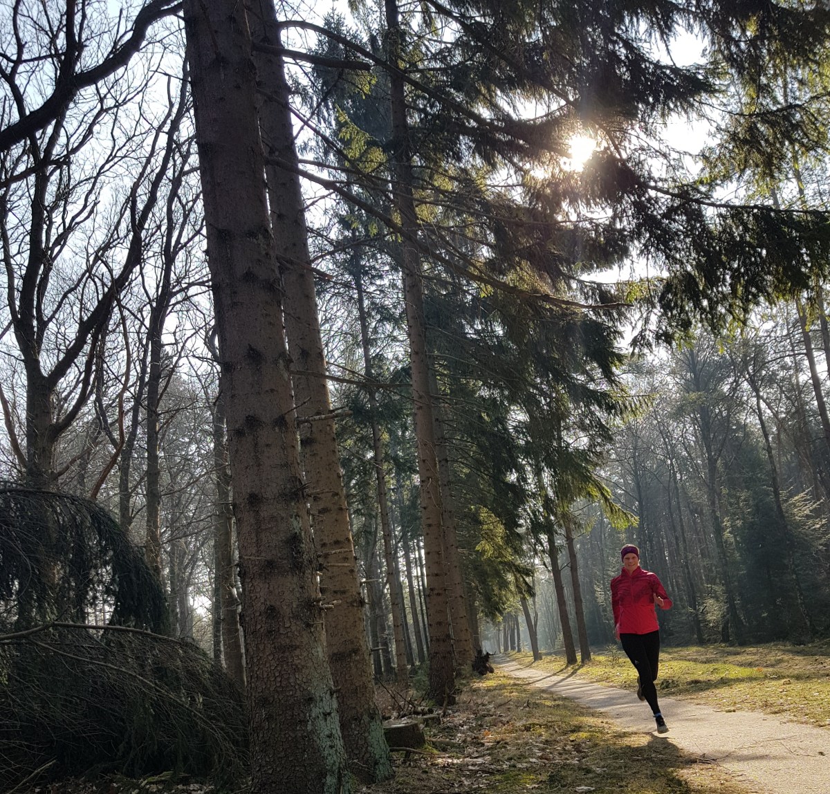 Taking a look&nbsp;back