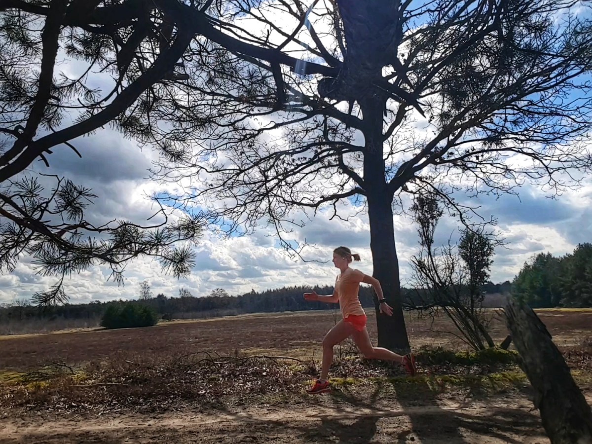 Back to the&nbsp;plan!