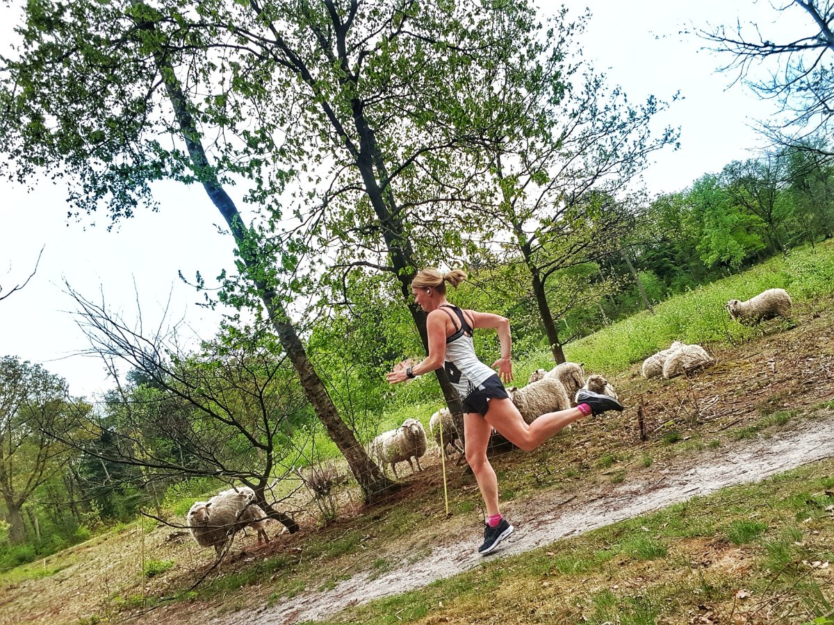 Recovery with a&nbsp;twist