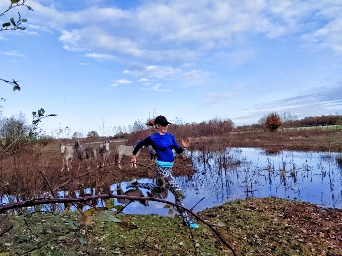 November 2019 – recap of the&nbsp;month